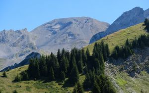 Preview wallpaper trees, slope, mountains, landscape