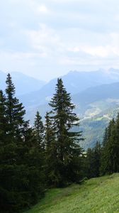 Preview wallpaper trees, slope, mountains, nature