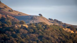 Preview wallpaper trees, slope, sky, nature, landscape