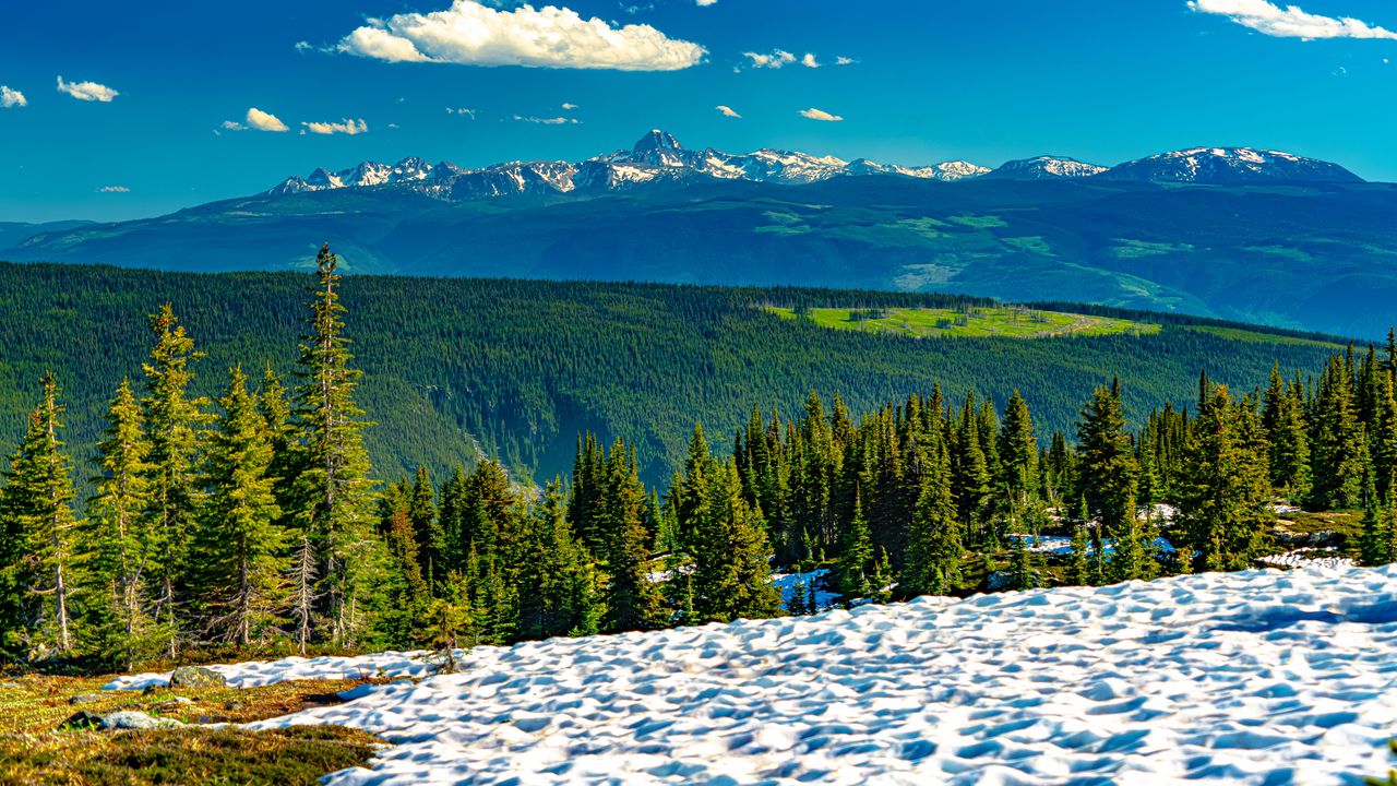 Wallpaper trees, slope, snow, forest, mountains