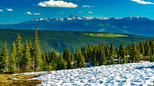 Preview wallpaper trees, slope, snow, forest, mountains