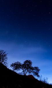 Preview wallpaper trees, slope, starry sky, night, dark