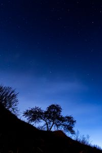 Preview wallpaper trees, slope, starry sky, night, dark
