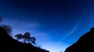 Preview wallpaper trees, slope, starry sky, night, dark