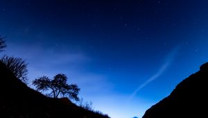 Preview wallpaper trees, slope, starry sky, night, dark