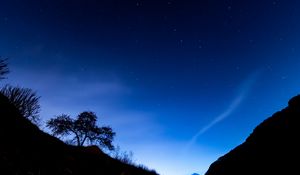 Preview wallpaper trees, slope, starry sky, night, dark