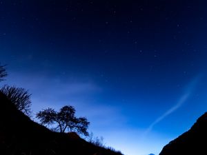 Preview wallpaper trees, slope, starry sky, night, dark