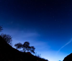 Preview wallpaper trees, slope, starry sky, night, dark