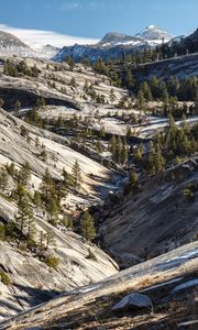 Preview wallpaper trees, slopes, mountains