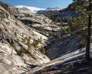 Preview wallpaper trees, slopes, mountains
