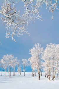 Preview wallpaper trees, small house, snow, hoarfrost, field, winter