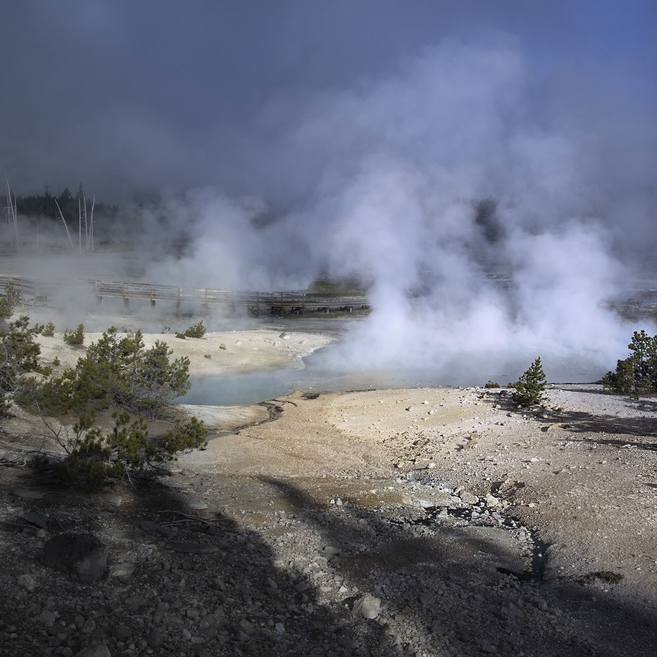1280x1280 Wallpaper trees, smoke, steam, lake, sources, nature