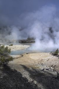Preview wallpaper trees, smoke, steam, lake, sources, nature