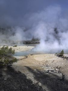 Preview wallpaper trees, smoke, steam, lake, sources, nature