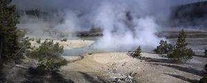Preview wallpaper trees, smoke, steam, lake, sources, nature
