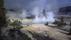 Preview wallpaper trees, smoke, steam, lake, sources, nature