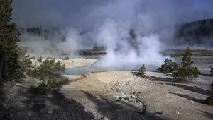 Preview wallpaper trees, smoke, steam, lake, sources, nature