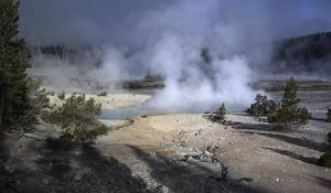 Preview wallpaper trees, smoke, steam, lake, sources, nature