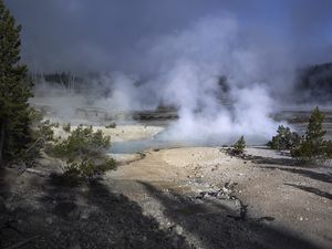 Preview wallpaper trees, smoke, steam, lake, sources, nature