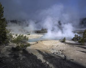 Preview wallpaper trees, smoke, steam, lake, sources, nature