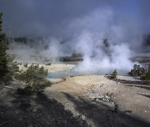 Preview wallpaper trees, smoke, steam, lake, sources, nature