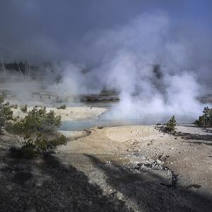 Preview wallpaper trees, smoke, steam, lake, sources, nature