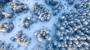 Preview wallpaper trees, snow, aerial view, winter, white