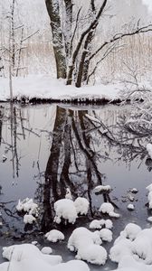 Preview wallpaper trees, snow, branches, reflection, river, winter