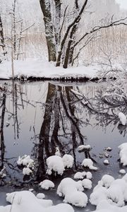Preview wallpaper trees, snow, branches, reflection, river, winter