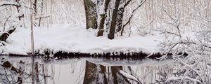 Preview wallpaper trees, snow, branches, reflection, river, winter