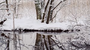 Preview wallpaper trees, snow, branches, reflection, river, winter