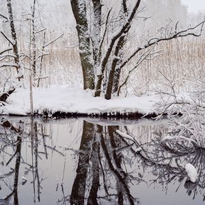 Preview wallpaper trees, snow, branches, reflection, river, winter