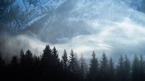 Preview wallpaper trees, snow, fog, mountains, landscape