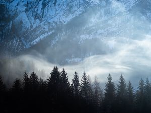 Preview wallpaper trees, snow, fog, mountains, landscape
