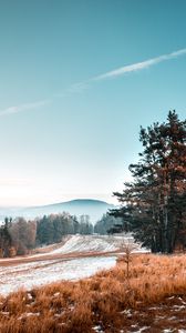 Preview wallpaper trees, snow, grass, road, sky, landscape