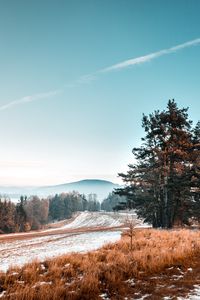 Preview wallpaper trees, snow, grass, road, sky, landscape