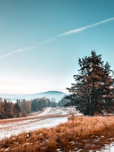 Preview wallpaper trees, snow, grass, road, sky, landscape