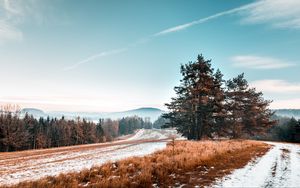 Preview wallpaper trees, snow, grass, road, sky, landscape