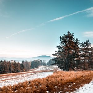 Preview wallpaper trees, snow, grass, road, sky, landscape