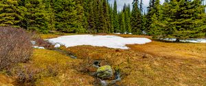 Preview wallpaper trees, snow, grass, stone, dry, spring, nature