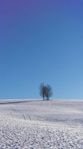 Preview wallpaper trees, snow, horizon, minimalism, winter, sky