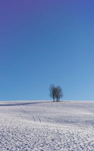 Preview wallpaper trees, snow, horizon, minimalism, winter, sky