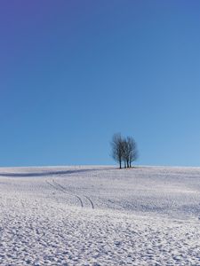 Preview wallpaper trees, snow, horizon, minimalism, winter, sky