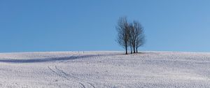 Preview wallpaper trees, snow, horizon, minimalism, winter, sky