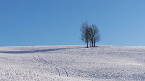 Preview wallpaper trees, snow, horizon, minimalism, winter, sky