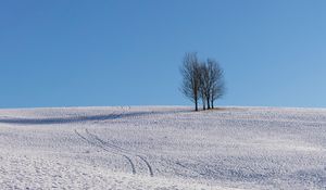 Preview wallpaper trees, snow, horizon, minimalism, winter, sky