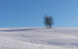 Preview wallpaper trees, snow, horizon, minimalism, winter, sky