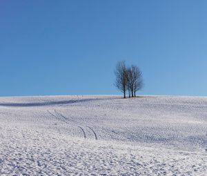 Preview wallpaper trees, snow, horizon, minimalism, winter, sky