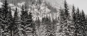 Preview wallpaper trees, snow, mountain, winter, blizzard