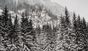 Preview wallpaper trees, snow, mountain, winter, blizzard